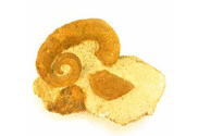 Ammonite Classification | RM. Ammonite Classification | RM.