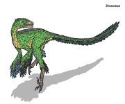 feathered dino