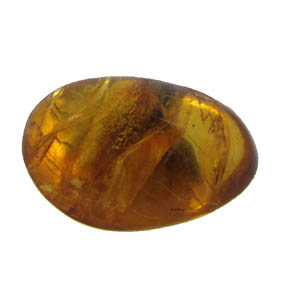 Exploring the Geology and Formation of Amber: From Tree Resin to Precious  Gemstone