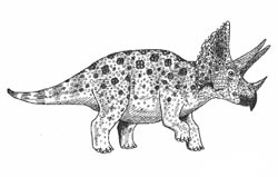 Cretaceous dinosaur triceratops
