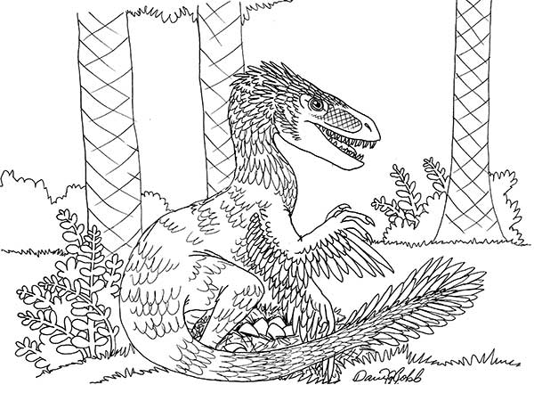 Velociraptor Drawing