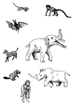 The Paleogene Period - Major Events, Climate, Plants and Animals The Paleogene Period - Major Events, Climate, Plants and Animals