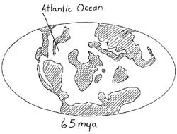 Paleogene continents