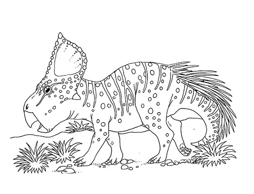 Protoceratops Drawing