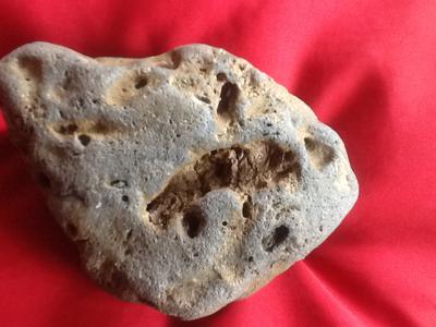 another fossil imprint or not?