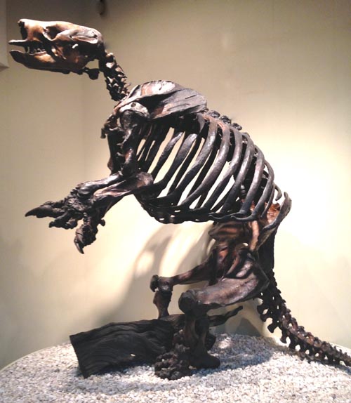 ground sloth from the La Brea Tar Pits