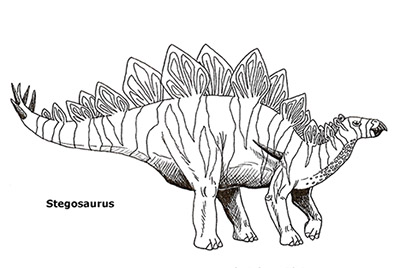 Stegosaurus Drawing