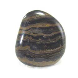 Polished Stromatolite From Bolivia 2.5 Billion Years Old