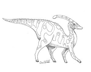 Parasaurolophus Drawing