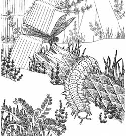 8800 Top Dinosaurs Fossils Coloring Pages Pictures