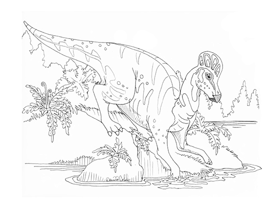 Corythosaurus Drawing
