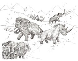 Cenozioc Mammals