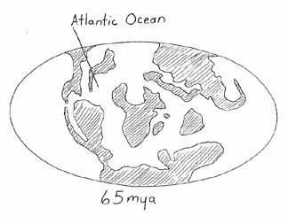 Cretaceous Continents