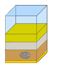 The third step in fossil formation