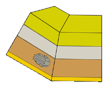 The fourth step in fossil formation-Uplift