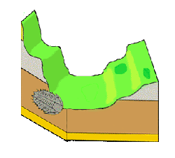 fossil formation illustrated guide