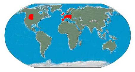 Known Iguanodon Range