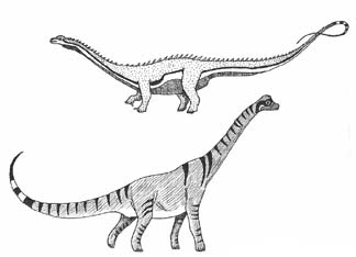 sauropods Jurassic Period