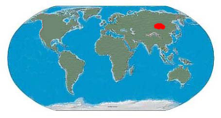 Conchoraptor Fossil Locations