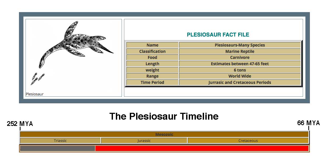 Plesiosaur Fact File