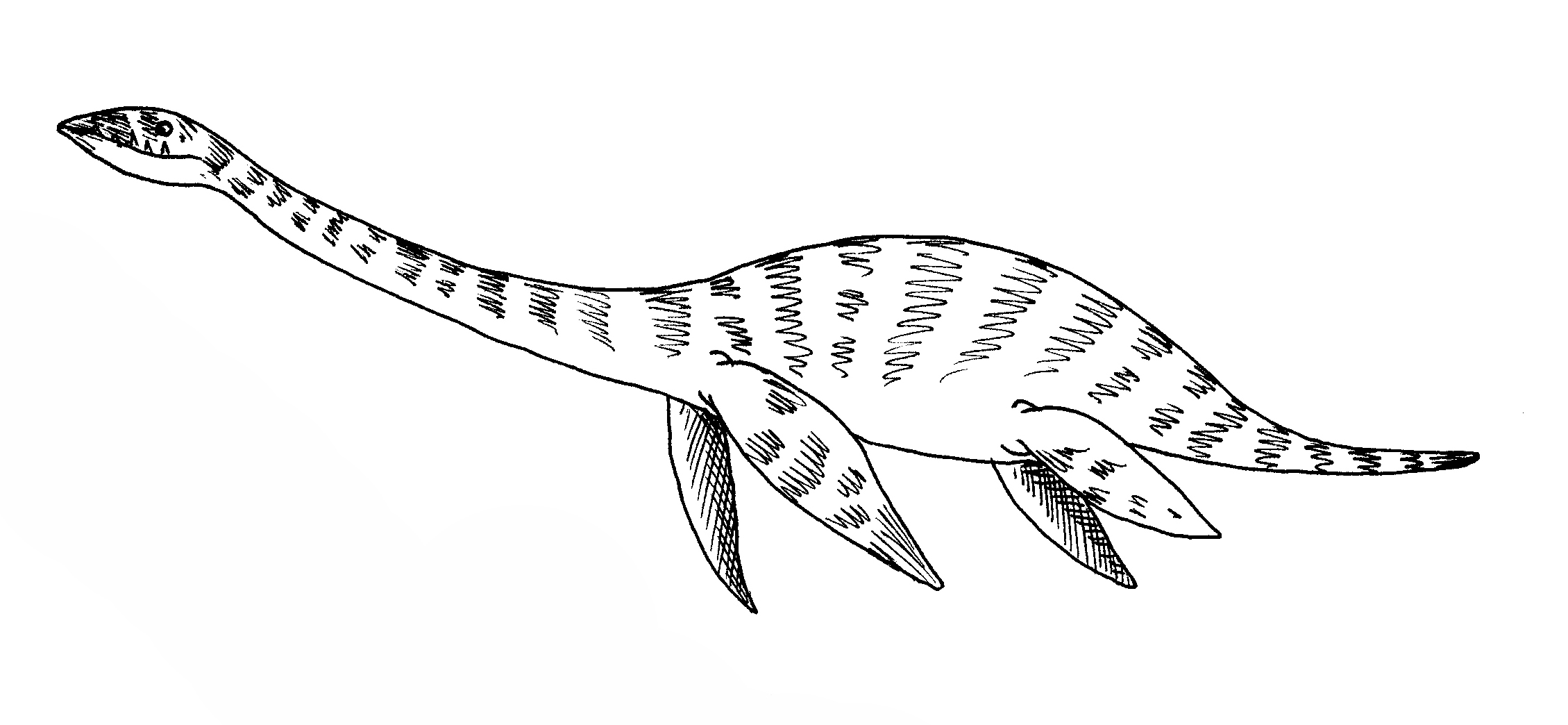 Plesiosaur