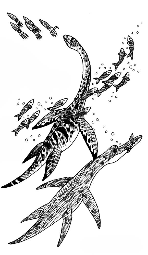 2  types of Plesiosaurs