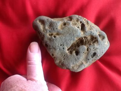 another fossil imprint or not with my thumb for scale!