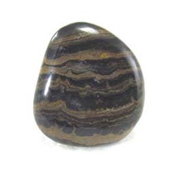 polished stromatolite from Bolivia