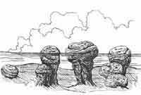 Stromatolites Drawing