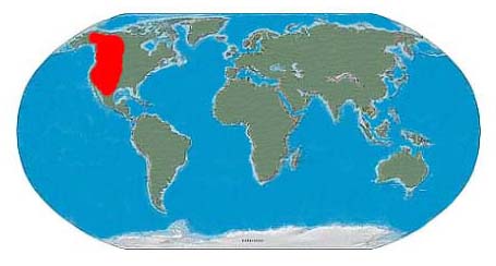 Triceratops Fossil locations