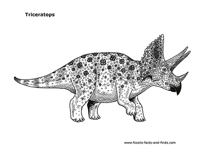 Triceratops drawing