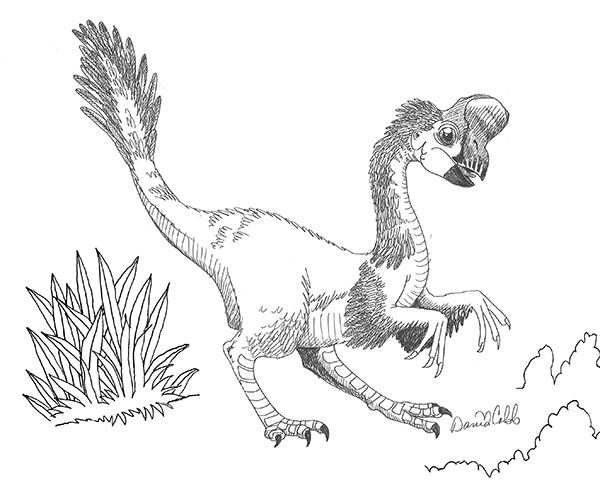 Oviraptor Drawing