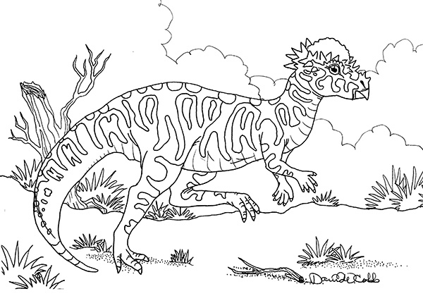Pachycephalosaurus Drawing